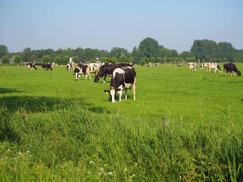 Kwartaalbericht agrarische grondmarkt 2026-2